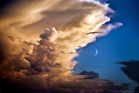 Apod 2018 March 4 Clouds Birds Moon Venus