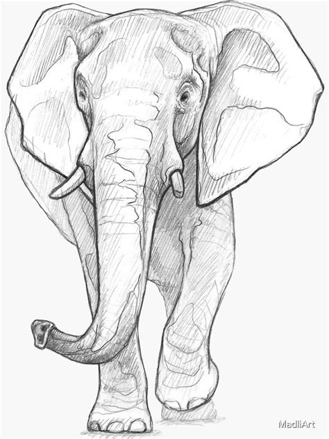 An Elephant Is Standing In The Middle Of A Drawing With A Pencil On It