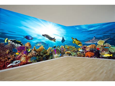 Sea Life Panoramic Wallpaper Fishes Wallpaper Underwater Mural Sea