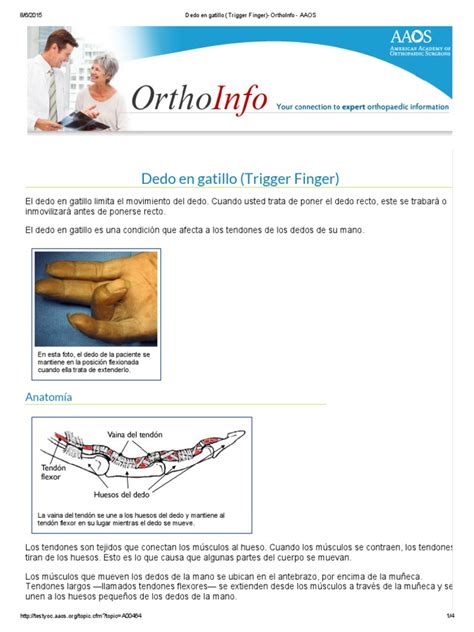 Dedo En Gatillo Trigger Finger Orthoinfo Aaos