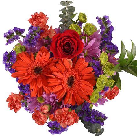 Cut Flower Mixed Bouquet Combo Pack 2 Premium Bouquets Wo Vase In