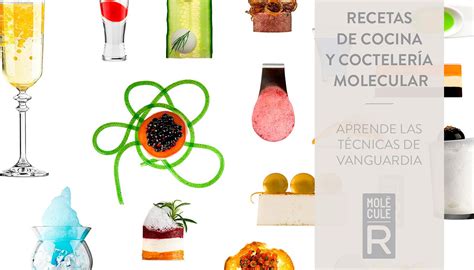 Aburrido de comandar la cocina de la selecta brasserie les halles en park avenue, este chef ex después de 30 años metido en la cocina, me encuentro con que tengo hechas más de 2.000 recetas. Recetas de cocina y coctelería molecular | Libro de cocina ...