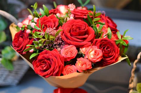 Garden roses floral design pink centifolia roses flower, flower, flower arranging, floribunda, artificial flower png. A Guide to the Beautiful Rose Flower | FloraQueen