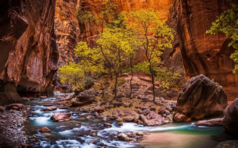 Wallpaper Trees Landscape Forest Waterfall Rock Nature Red