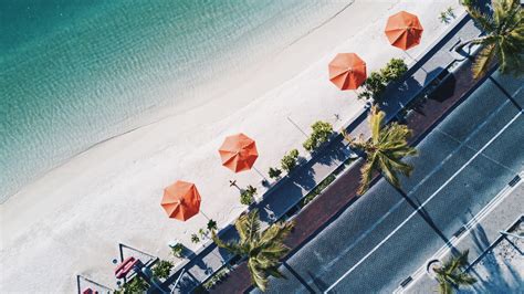 Beach Beach Umbrella Road Palm Trees Aerial View Waves Wallpapers