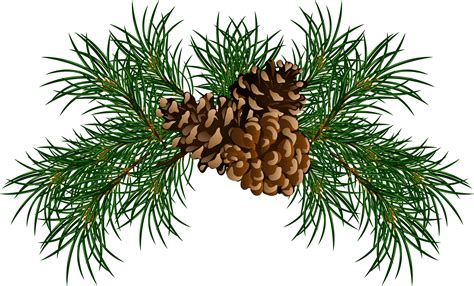 Christmas wreath garland, christmas creative, holidays, decor, christmas decoration png. Шишки PNG изображения скачать бесплатно, шишка PNG
