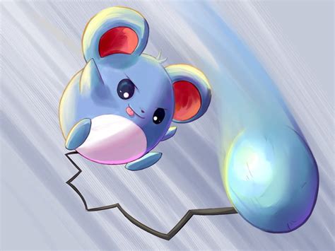 27 Fun And Interesting Facts About Marill From Pokemon Tons Of Facts