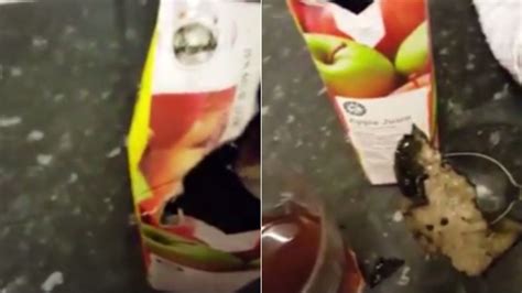 Mum Left Horrified After Opening Apple Juice Only To Discover It S