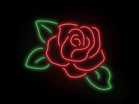 Neon Rose By Caitlin Howe On Dribbble