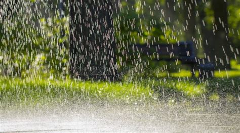 Rain Is Falling On Fresh Green Grass Stock Image Image Of Climate
