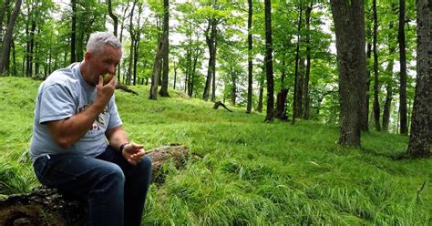 Man Sitting Alone In Forest Finds Himself Suddenly