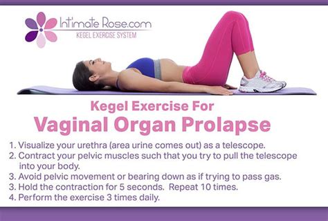 Vaginal And Pelvic Organ Prolapse Exercises Intimate Rose