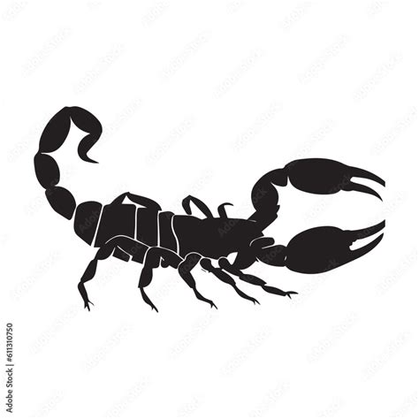 Scorpions Vector Silhouette Illustration Black Color Scorpions King Stock Vector Adobe Stock