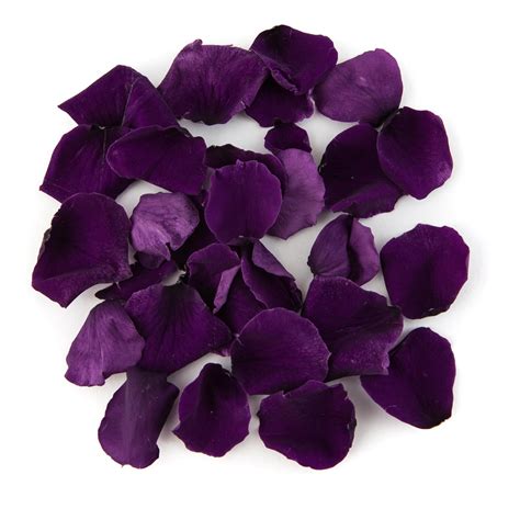 Purple Coloured Rose Petal Sample Real Flower Petal Confetti Co