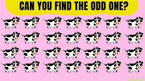 Find Odd Animals Out Awesome Eye Puzzles And Riddles Eye Test