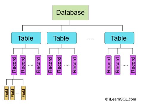 What Are Database Structures