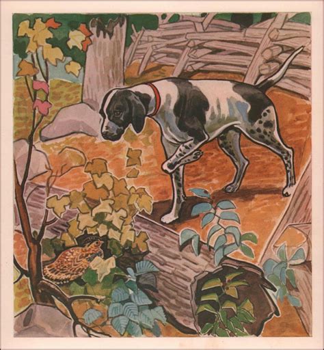 Vintage Pointer Dog Hunting Print