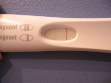 Does One Line On A Pregnancy Test Mean Negative Pregnancywalls