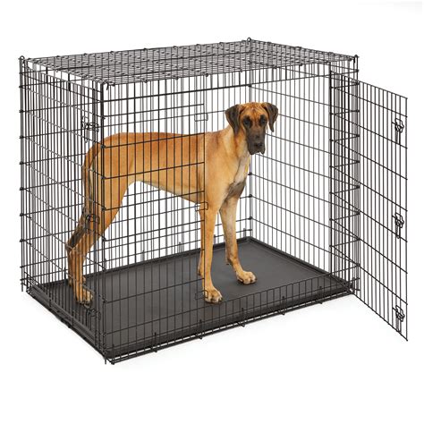 Plastic Crates For Dogs Order Online Save 56 Jlcatjgobmx