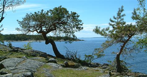 Beautiful And Peaceful Archipelago Environment Experience Djurö