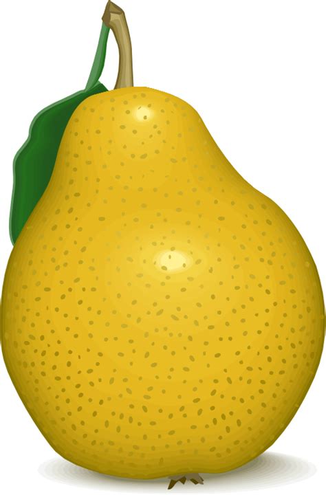 Asian Pear Png Images Transparent Background Png Play