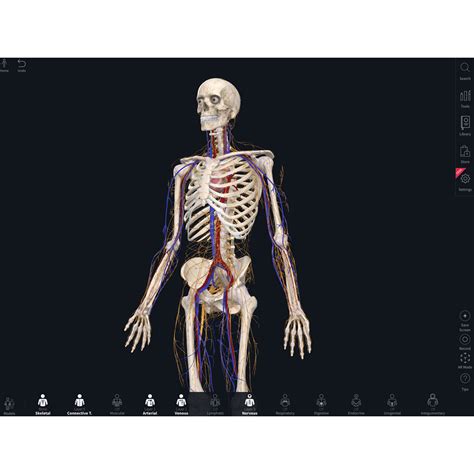 The complete anatomy app is one of the best anatomy software solutions you can download for windows computers. Complete Anatomy App Student Plus License 10% Discount