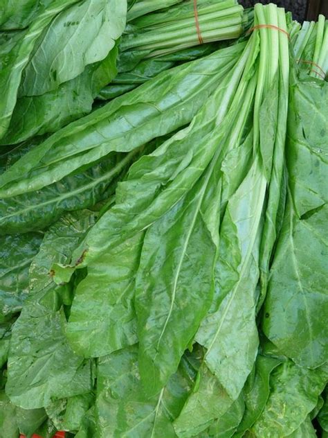 Jun 15, 2021 · resep tumis bayam. Jus Sayur Bayam Untuk Diet Sehat | Resep Jus Sehat