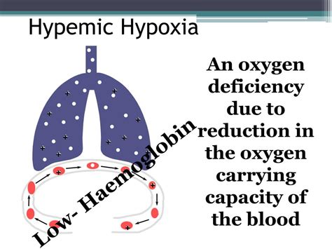 Ppt Hypoxia Powerpoint Presentation Free Download Id2108626