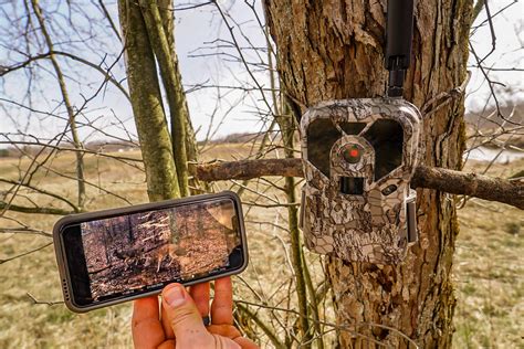 Trail Cameras That Send Pictures To Your Phone The Technology Differences