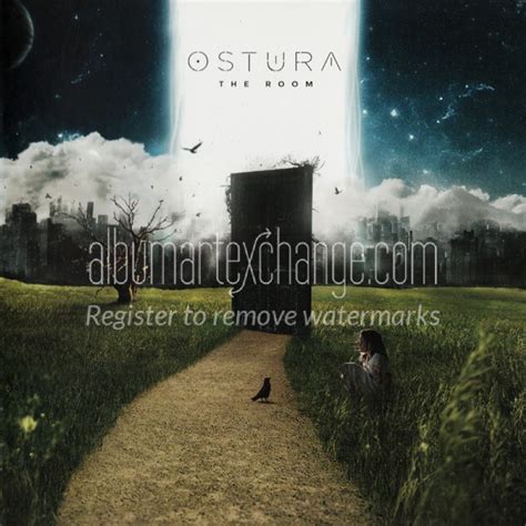 Album Art Exchange The Room By Ostura Album Cover Art