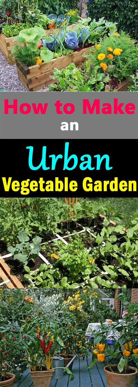 How To Make An Urban Vegetable Garden City Vegetable Garden