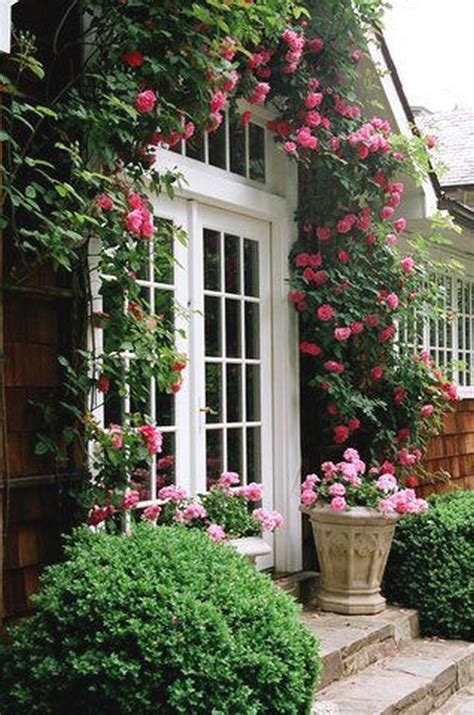 Climbing Roses On House Ideas Beautiful Gardens Cottage Garden Rose