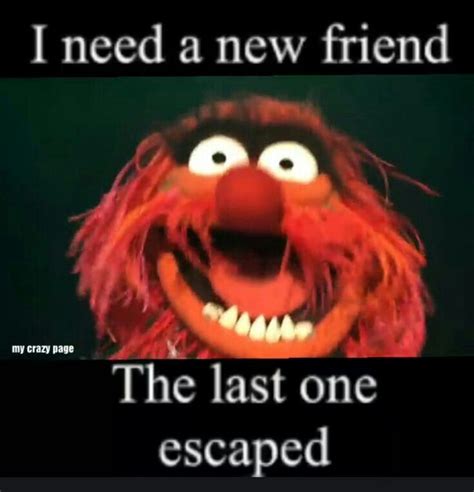 Pin By Sandy Baker On Just Because~ Muppets Funny Muppets Quotes