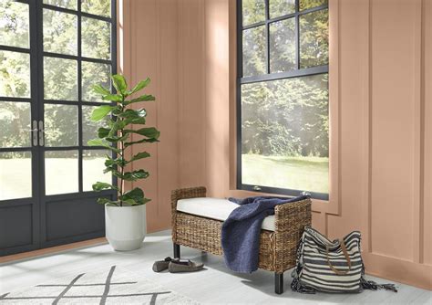 Behr Announces 2021 Color Of The Year And Its An Earthy Canyon Dusk