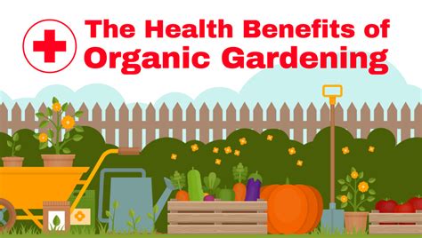 Infographic The Health Benefits Of Organic Gardening