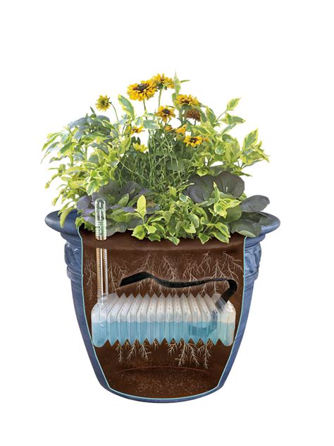 Adjustable Self Watering Insert For Pots And Planters
