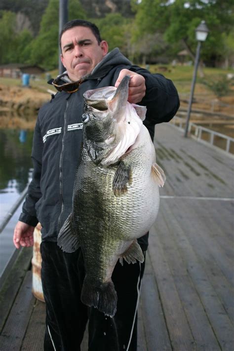 The Biggest Bass Ive Ever Seen Unofficial World Record Bass That