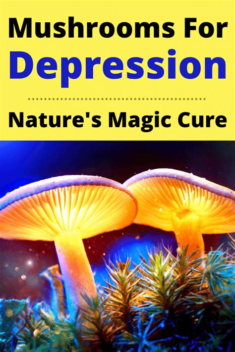 Mushrooms for Depression, Anxiety & PTSD | Nature's Magic Cure