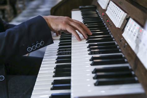 Many musicians are former university students or professional musicians. A Musician On An Electric Piano Plays Live Music Stock ...
