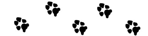 Dog Paw Prints Dog Paw Printable Print Stencil Clipart Image Wikiclipart