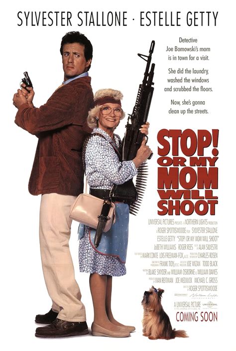 Stop Or My Mom Will Shoot 1992 Lat Eng Sub 1080 Identi