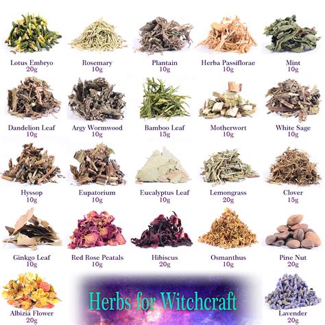 Buy Dried Herbs For Witchcraft Supplies Witch Herbs Kit For Wicca Pagan And Magic Spells
