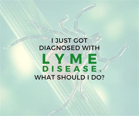 I Just Got Diagnosed With Lyme Disease What Should I Do Lyme