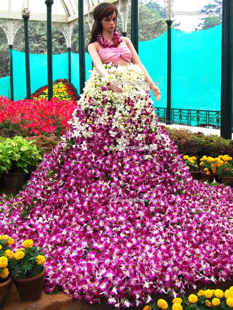 Bangalore Lalbagh Flower Show 2016 Republic Day Special Photos