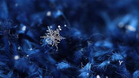 Hd Wallpaper Snowflake Blue Bluish Ice Crystal Macro Close Up