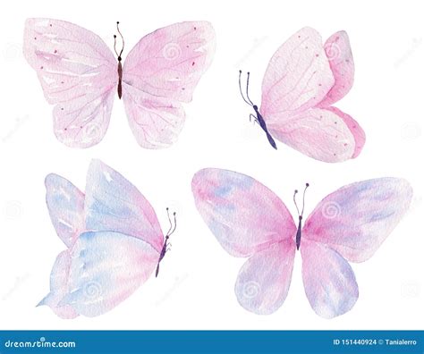 Butterflies Hand Drawn Watercolor Raster Illustrations Set Stock