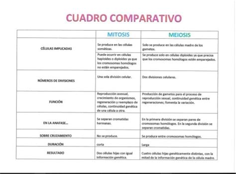 Cuadro Comparativo Qu Es Mitosis Y Meiosis Cuadro Comparativo