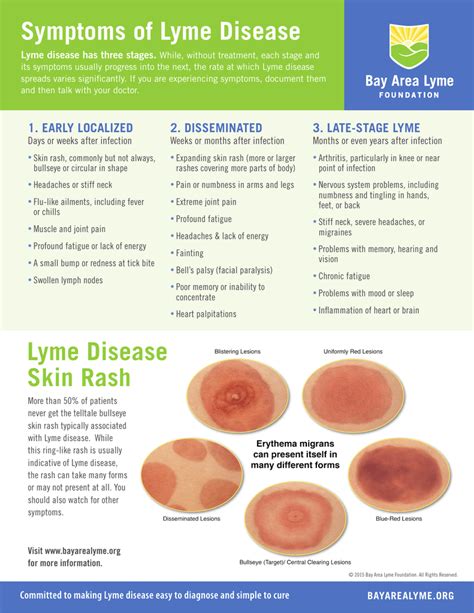 Symptoms Of Lyme Disease Lyme Disease Skin Rash