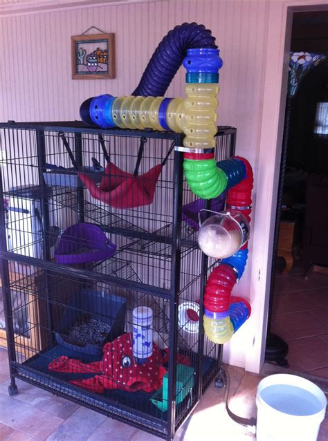 Diy rat toys cage decor loepsie. Rat Cage Ideas 9 - Meowlogy