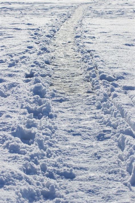 Snowy Path Stock Photo Image Of Landscape Snow White 48160134